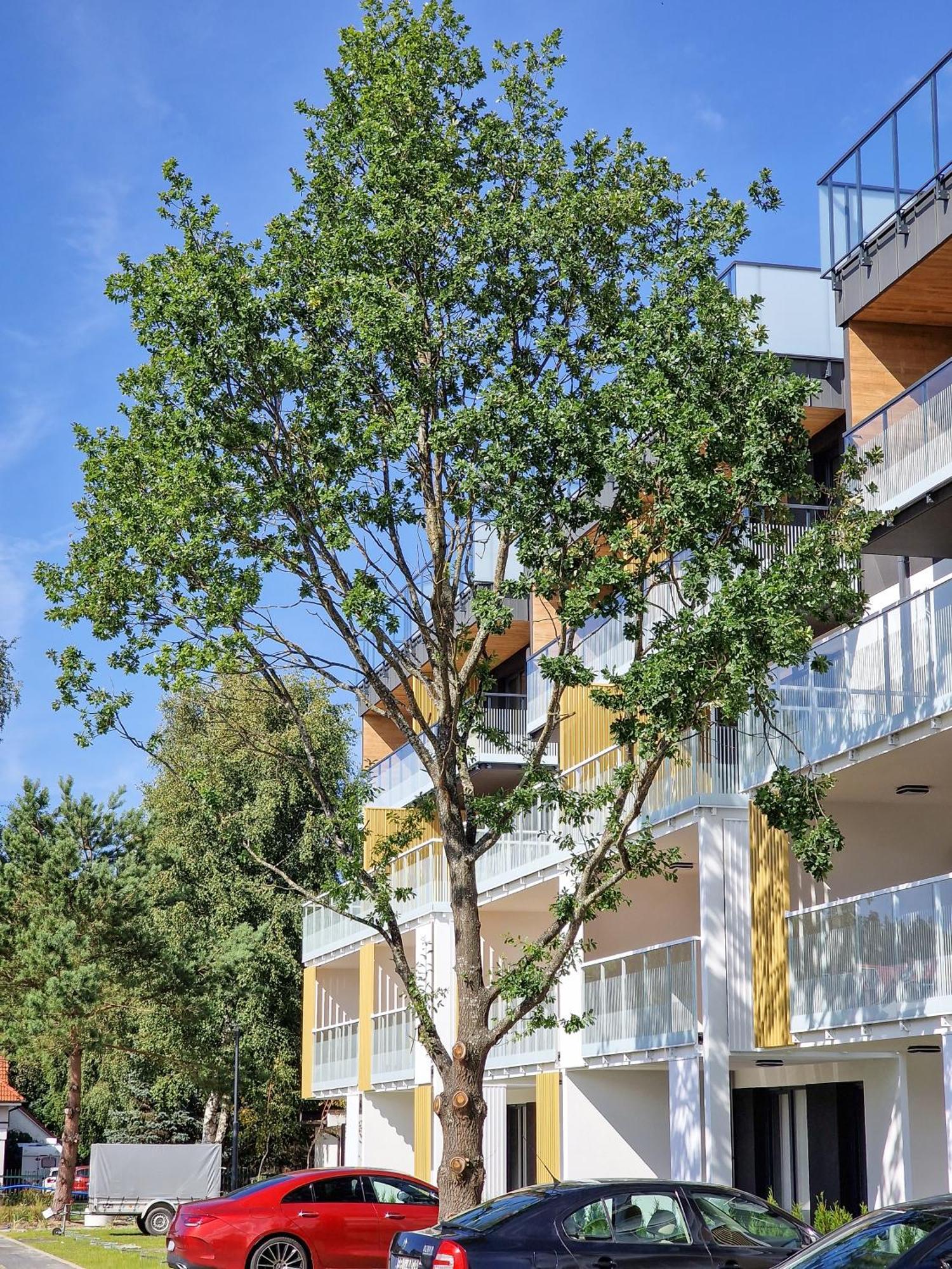 Posesja Plazowa Penthouse & Spa By Posesja Apartamenty กชึชโบโว ภายนอก รูปภาพ
